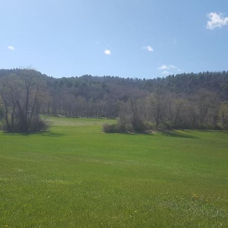 לינה וארוחת בוקר Lakeville A Meadow House מראה חיצוני תמונה